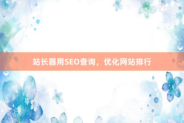 站长器用SEO查询，优化网站排行