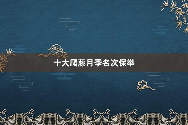 十大爬藤月季名次保举