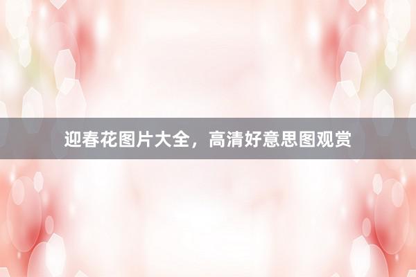 迎春花图片大全，高清好意思图观赏