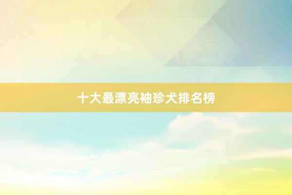 十大最漂亮袖珍犬排名榜